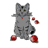 Christmas Cat