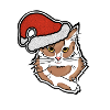 cat with chrismas hat