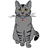 Grey christmas cat