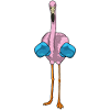 Gants de boxe Flamingo Boxer Boxe