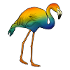 Flamant rose arc-en-ciel