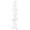 Shorinji Kempo