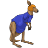 Kangaroo Helmet Football
