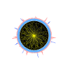 Higgs Boson