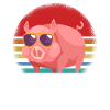 Pig Sunglasses