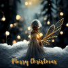 Christmas angel - magical Christmas night