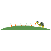 turtle design