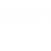Rise Is My Love Language