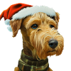 Airedale Terrier Noël