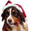 Aussie Christmas