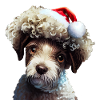 Lagotto Romagnolo Noël