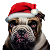 Old English Bulldog Christmas