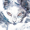 BAKENEKO