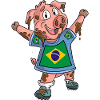 Fan Pig Brésil