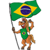 Brasilianer Fan Pferd