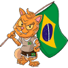 Brazil Fan Cat