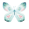 Butterfly Wings Butterfly Carnival Carnival