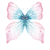 Butterfly Wings Butterfly Carnival Carnival