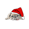 Christmas Dog Christmas Dog Pug
