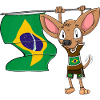 Brésil Chihuahua