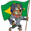 Brazil Fan Dog
