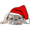 Pug Christmas