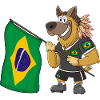 Brésil Rasta Dog