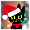 Black Cat Christmas Gift