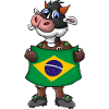 Brazilian cow fan