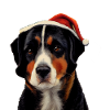 Entlebucher Mountain Dog Christmas