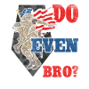 Veteran U.S. flag and medic