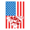 Drapeau de Billards USA