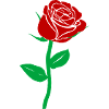 Rose, I love you