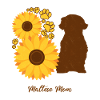 Sonnenblumenmutter - Maltesisch