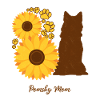 Sunflower Mother - Pomsky