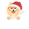 Pomeranian Merry Christmas
