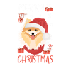 Zwergspitz Merry Christmas