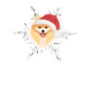 Pomeranian Merry Christmas