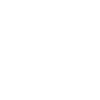 Funny Zebra Tiger Pony
