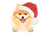 Zwergspitz Merry Christmas