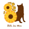 Mère Tournesol - Shiba Inu