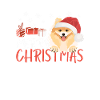 Zwergspitz Merry Christmas