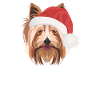 Yorkshire Terrier Merry Christmas