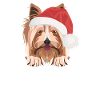 Yorkshire Terrier Joyeux Noël