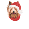 Yorkshire Terrier Merry Christmas