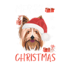 Yorkshire Terrier Joyeux Noël