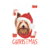 Yorkshire Terrier Joyeux Noël