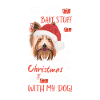 Yorkshire Terrier Joyeux Noël