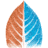 Leaf - Blue / Red - Beech Leaf