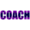 Trainer Sport